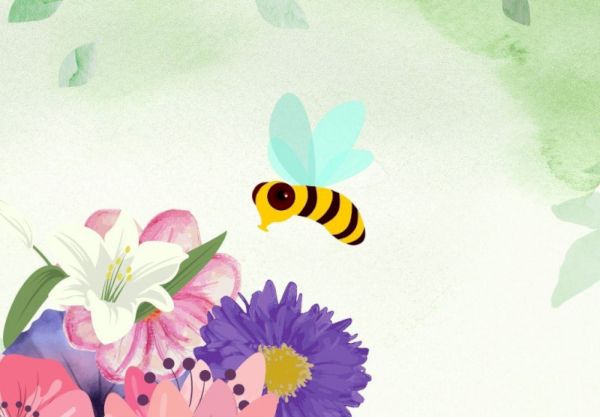   Kalambury pszczół